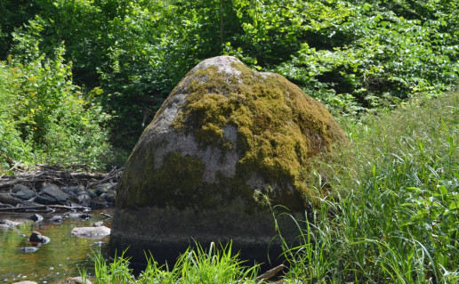 4_Jurkiškio akmuo_Puntuko vaikas (1).jpg